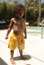 Load image into Gallery viewer, Yellow Zebra