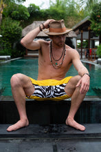 Load image into Gallery viewer, Yellow Zebra