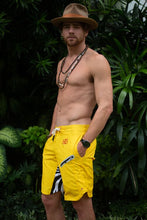 Load image into Gallery viewer, Yellow Zebra